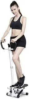 Mini-Stepper Swing Stepper Step Machine with Safety Armrest and Smart Dial Twist Stair Steppe Workout Fitness Machine fo