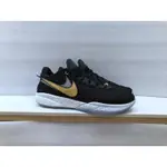 NIKE LEBRON XX EP     US13