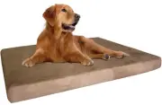 Extra Large True Orthopedic Gel Memory Foam Dog Bed, Waterproof Liner and Dur...