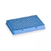Bio-Rad 96-Well PCR Plates HSP9631 low profile thin wall skirted blue/clr 50/bx