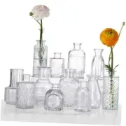 12 Pcs Glass Bud Vase Set of，Small Glass Vases for Flowers，Mini Transparent