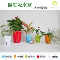 在飛比找momo購物網優惠-【Gardeners】自動吸水盆15cm-1入(花盆/盆栽/