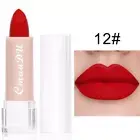 Long Lasting Velvet Lipstick Red Lip Cosmetic Lipstick Matte Lipstick Women