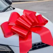 Big Red Car Bow 30In Large Giant Bow for Car, Birthday Gift Bow, Large Gift Bow
