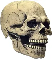 Halloween Full Head Skull Mask w/ Moving Mouth Jaw Scary Full Head Latex Mask