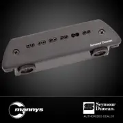 Seymour Duncan SA-6 Mag Mic Acoustic System