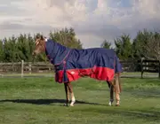 Caribu Eclipse XL Gusset Detach-a-Neck Horse Rainsheet Navy Red - 7.0FT / Navy Red