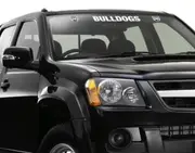 Canterbury Bulldogs BIG Car Window Decal Sticker LETTERING
