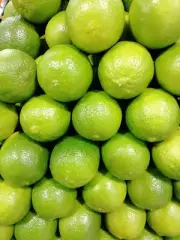 RawJoy Fresh Seedless Persian Limes
