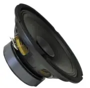 ROCKWOOD Dy 1026U Pa Bass Fullrange 250 MM Guitar Speaker 10 " 1 Piece