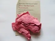10% Off Dames of the Needle-From The Cauldron Rick Rack-Watermelon Juice 1 inch