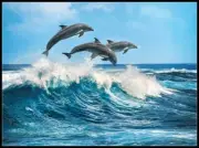 Dolphins - Counted Cross Stitch Pattern*Needlecraft Embroidery Chart