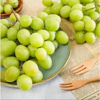 在飛比找ETMall東森購物網優惠-【買1送1】專業農頂級脆甜進口綠無籽葡萄