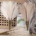 1PC INS Pampas Grass 56.5CM Fake Plant Reed Colorful Home Decor