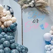 SANDOO Boy or Girl Sign Decal for Balloon Arch - Gender Reveal Decorations, Neutral Peel and Stick Stickers for Backdrop, Oh Baby Decal, Baby Shower Party Supplies