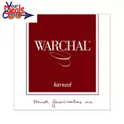 Warchal Karneol Violin E String 4/4 Ball End