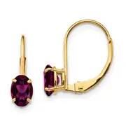 14k Yellow Gold 6x4mm Oval Rhodolite Garnet leverback earring