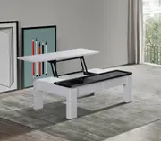 Coffee Table High Gloss Finish Lift Up Top MDF Interior Storage in Black & White/ White Ash Colour