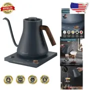 Elegant Gooseneck Electric Kettle - ±1℉ Control & Stainless Steel Inner 0.9L