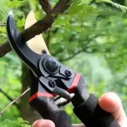 Pruning Shears Gardening Scissors for Cutting Branches Garden Pruning