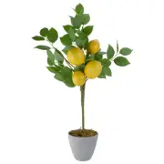 Northlight 20-Inch Artificial Potted Mini Lemon Tree