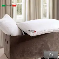 在飛比找momo購物網優惠-【Raphael 拉斐爾】五星級飯店專用羽絲絨枕(2入)