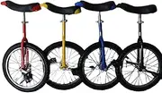 24 Inch Unicycle with Pump and Bracket, 360° All-Aluminum Alloy Fixed Lock Unicycle for Outdoor Sports Fitness Exercise Health (Color : Black, Size : 24Inch) Durable TDF