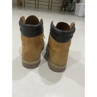 Timberland經典小麥黃中統