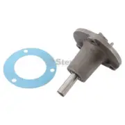 Water Pump for Massey Ferguson Forklifts & Tractors 830691M91, Gasket Included