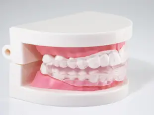 日本原裝 TO-PLAN 上下 2片式 矽膠牙套 防磨牙  附收納盒 磨牙 磨牙牙套 牙套【全日空】