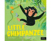Little Chimpanzee