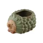 Small Cartoon Animal Planter Cute Cactus Pot Succulent Plant Pot Home