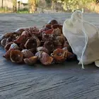 Organic Soap Nuts for Laundry Seedless Natural Washing Berries with Saponin