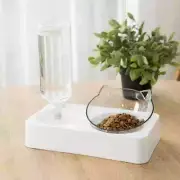 Pet Feeder 2-in-1 Pet Feeding Bowl Dog Cat Automatic Water Dispenser
