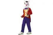 Disney Alice In Wonderland White Rabbit Boys Costume