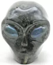XL Gorgeous Korea GARNET Crystal Alien Head w LABRADORITE Gemstone Eyes Fossil