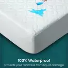 Mattress Protector Waterproof Bed Bug Protector Mattress Cover Fitted Bed Cover