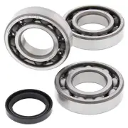 Crank Shaft Bearing Kit For Polaris Sportsman 500 4x4 HO AO-AX 2004