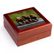 3dRose, 3 Monkeys, hear, see, speak no evil, Jewelry Box
