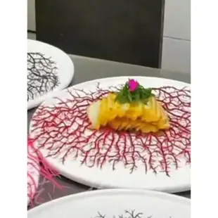 酒店菜品裝飾特色菜創意盤頭點綴擺盤料理仿真小擺件黑鐵樹珊瑚樹