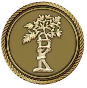 Orthopedics Medallion for Box Cremation Urn/Flag Case - 3 Inch Diameter