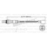 PAT Oxygen Sensor - EGO-067