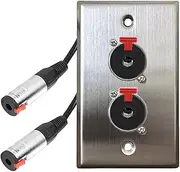 DIYTECH Premium 1/4 Jack Plate, Audio Jack Wall Plate, 1/4 Wall Plate, 6.35mm 1/4 TRS Jack, Guitar Input Jack, for Professional Audio Installations, Stainless Steel (2 Port)