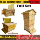 Mini 10X Frames Honey Auto Beehive House Wooden Bee Hive Beekeeping Tool