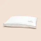 Purecare Dr. Weil Chambered Goose Feather Down Pillow In Size King