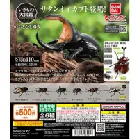 在飛比找露天拍賣優惠-預購 7月 BANDAI 獨角仙 P5 生物大圖鑑 昆蟲 甲