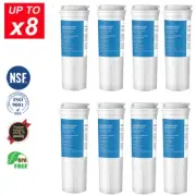 836848 Compatible with Fisher Paykel Refrigerator Water Fridge Filter-836860