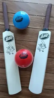 Dare Iced coffee Mini Cricket Set - Two Bats and Two Balls Red Blue - New