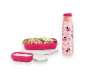 Tupperware Ladybug Collection Container And Water Bottle