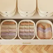 1/10/15 Grids Underwear Storage Box Plastic Wardrobe Socks Organizer for Home